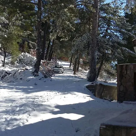 Chalet Authentic Stone And Orchard In The Forest
