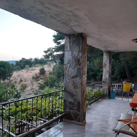 Authentic Stone And Orchard In The Forest *