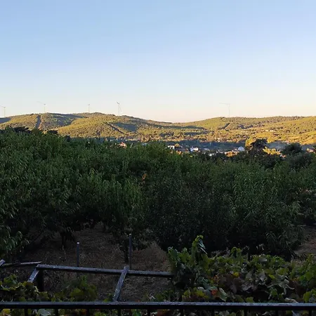Authentic Stone And Orchard In The Forest İzmir
