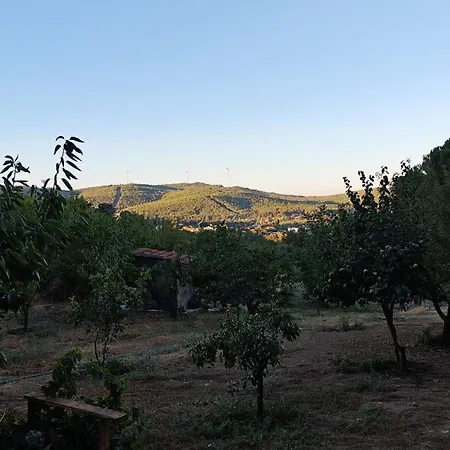 Chalet Authentic Stone And Orchard In The Forest *