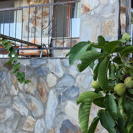 Chalet Authentic Stone And Orchard In The Forest