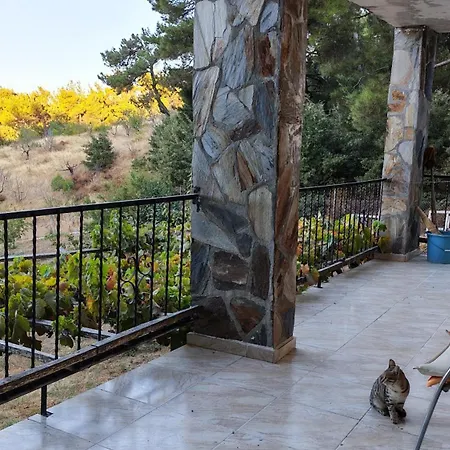 Authentic Stone And Orchard In The Forest Chalet İzmir