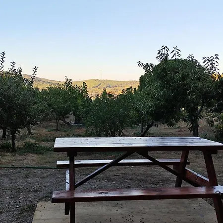 Authentic Stone And Orchard In The Forest Chalet İzmir