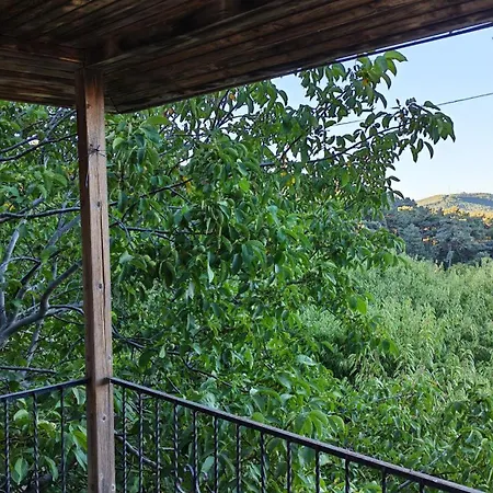 Authentic Stone And Orchard In The Forest Chalet *