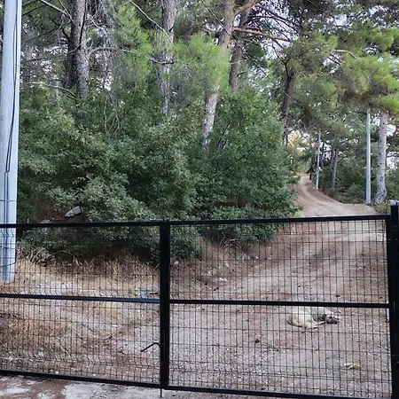 Authentic Stone And Orchard In The Forest Chalet *